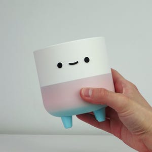 Può includere: Un vaso di ceramica bicolore con un volto da cartone animato. La metà superiore è bianca, che sfuma nel rosa, poi nel celeste alla base. Ha piedini blu e occhi e bocca neri.