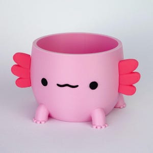 Op de afbeelding: Een roze axolotl-vormige plantenpot met een lachend gezicht, zwarte ogen en rode kieuwen. De pot heeft kleine voetjes en is ontworpen voor kleine planten of vetplanten. Het ontwerp is schattig en grillig.