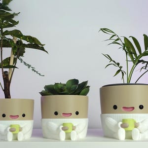 Könnte beinhalten: Drei dekorative Blumentöpfe mit Pflanzen. Die Töpfe sind beige mit einem weißen Pullover-Design und halten eine grüne Tasse. Zu den Pflanzen gehören eine Sukkulente, eine Blattpflanze und eine palmenartige Pflanze. Die Töpfe haben schwarze Augen und rosa Münder.