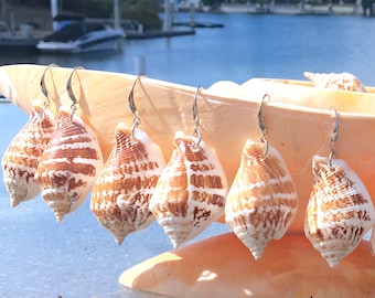 Australian seashell beach earrings, get closer to nature, nautical sailing wear, nature jewellery, sustainably collected seashells, gifts