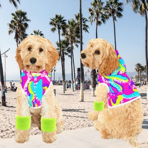Medium dog costumes hotsell