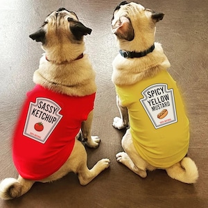 Dog Halloween Costumes Condiments Shirts For Pet Dogs Cats - Halloween Costumes Mustard Ketchup Relish Condiments TShirts For Small Big Dogs