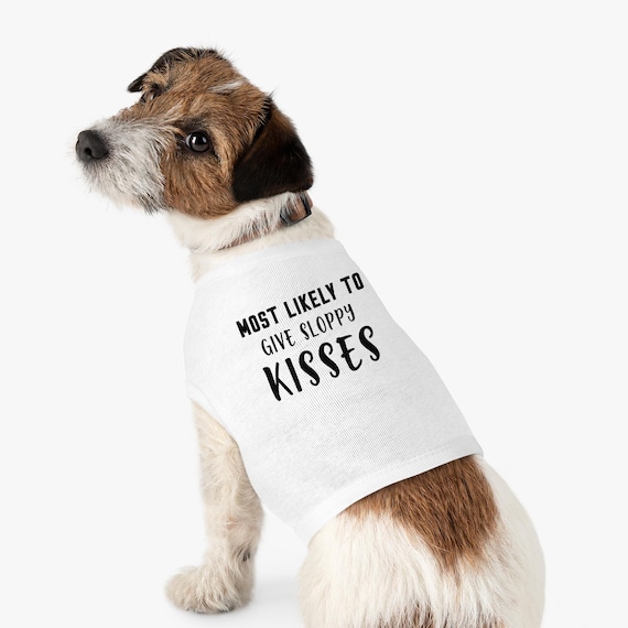 Christmas pet funny clothes Christmas pet funny clothes
