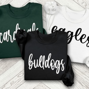 Custom College Team Sweatshirt: Mascot Long Sleeve Shirt