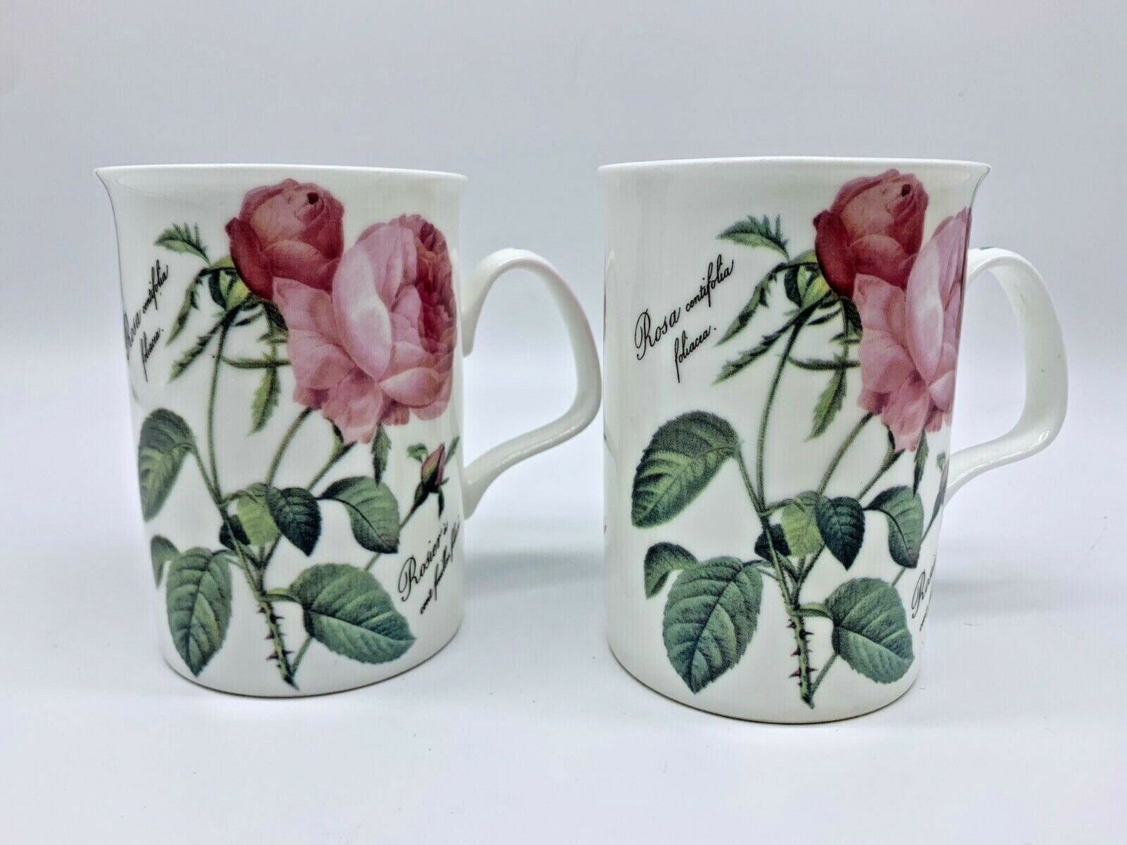 Set of 2 Redoute Roses Roy Kirkham Fine Bone China Made in Etsy