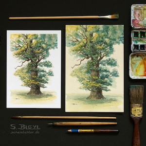 Old Oak - Watercolor Study after Ivenacker Oak