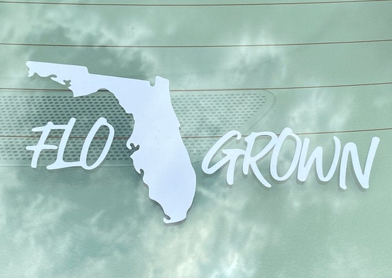 Vinyl Decal Saltysanti
