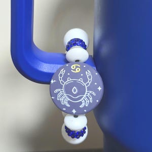 Zodiac Stanley cup accessories handle charm tumble beaded charm, rare low price Stanley accessories tumbler handle charm zodiac  gift