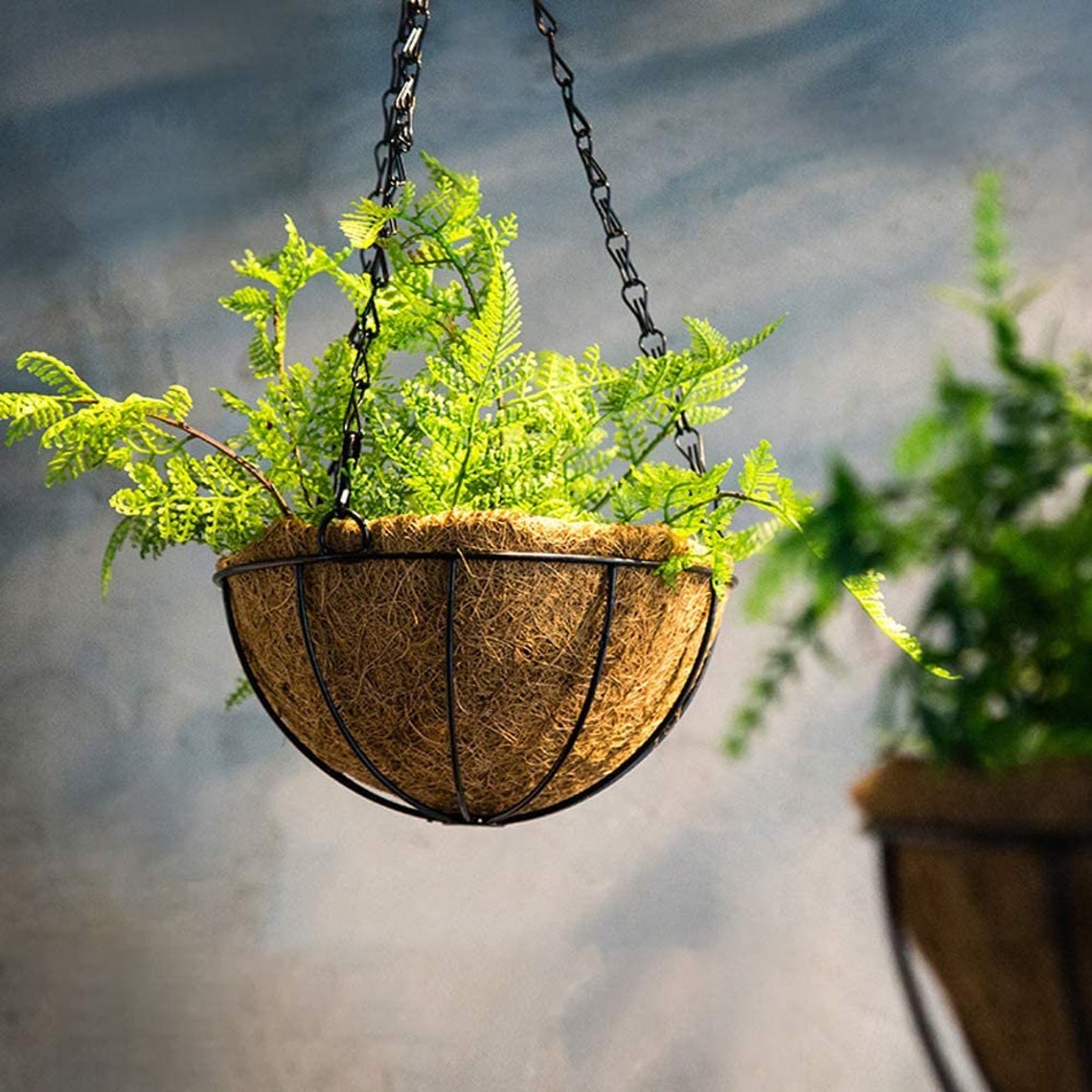 5PCS Metal Hanging Planter Basket with Coco Coir Liner 25 CM Etsy