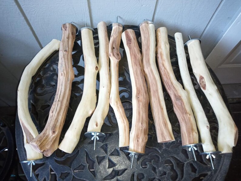 10 Manzanita Bird / Reptile Perch Sand Blasted 18 Long Etsy