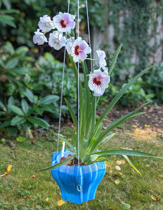 Orchid Hanging Planter Recycled Plastic Hanging Plant Pot Etsy