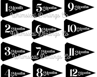 Baby Monthly Milestone Pennant Flag Printables - Black