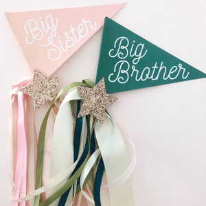 Big Sister Pennant Flag Printables image 3