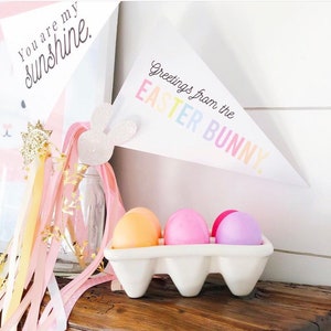Puede incluir: Un cartón de huevos blanco con cuatro huevos de color pastel en su interior. El cartón está sobre una superficie de madera. En el fondo, hay una pancarta blanca con el texto "Greetings from the Easter Bunny!"