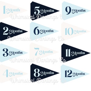 Baby Monthly Milestone Pennant Flag Printables - Blues
