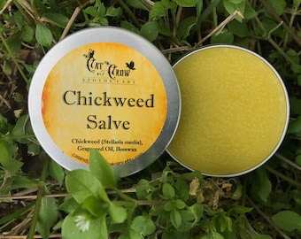 Chickweed Salve * Cooling Skin Relief *Herbal Lump Reducer