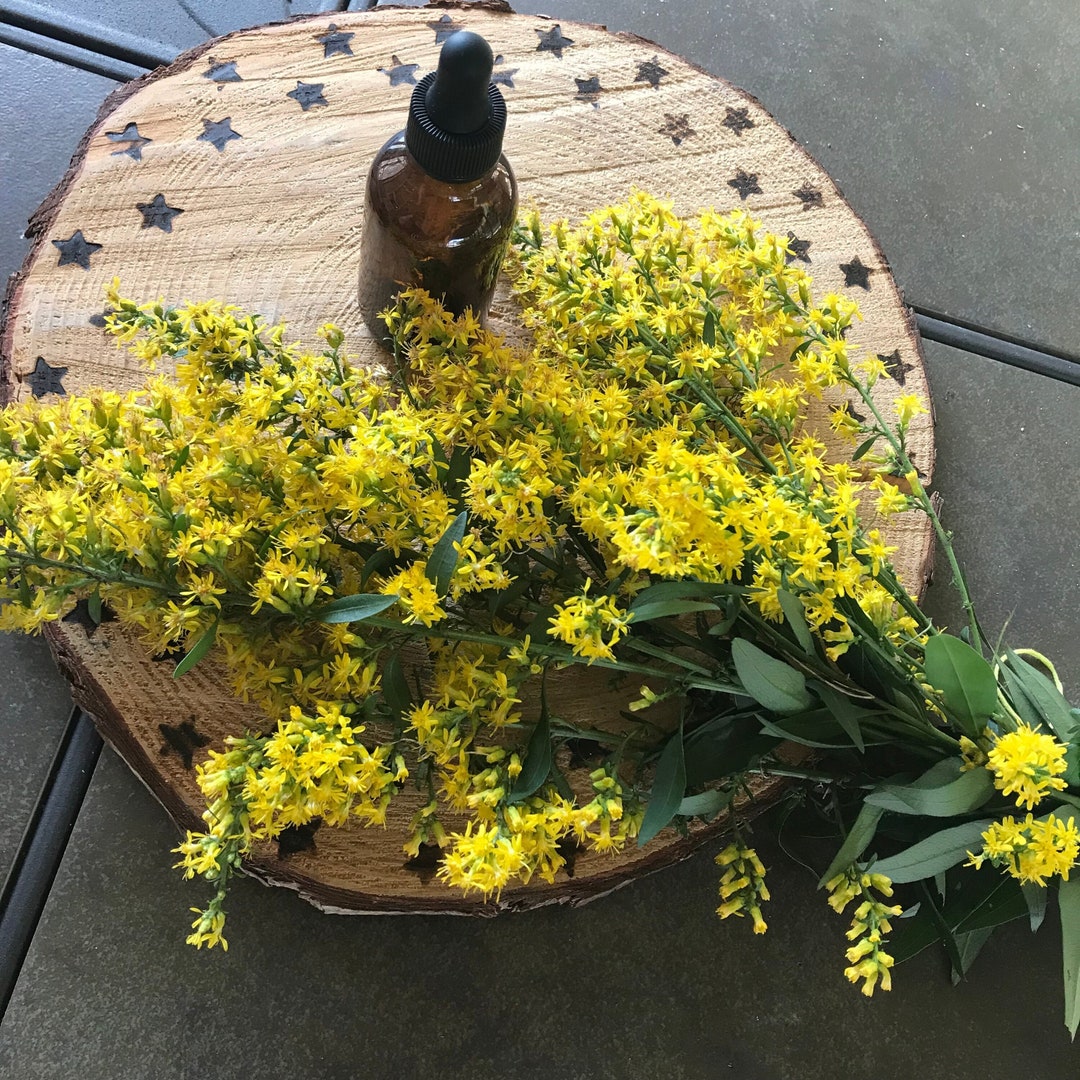 Goldenrod Tincture Sinus Kidney and Urinary Support Etsy