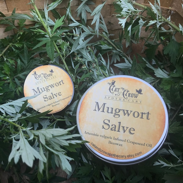 Mugwort Salve * Sore Muscle Relief * Back Pain * Dreamwork