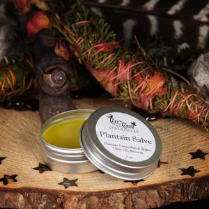 May include: A small silver tin with a green salve inside. The tin is labeled "Cat Crow Apothecary Plantain Salve" and lists the ingredients as "Plantago Lanceolata & Major, Olive Oil, Beeswax". The tin is open and sitting on a wooden surface with a star-shaped design.