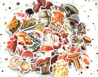 40 PCS Watercolor Mushroom Thin Stickers for Laptop Junk Bullet Journal Scrapbook Kids Notebooks