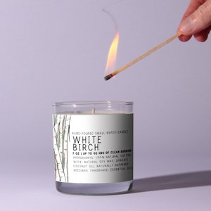 White Birch Just Bee Candles Soy Candle Scented Candles Scented Soy Candle Natural Candle image 7