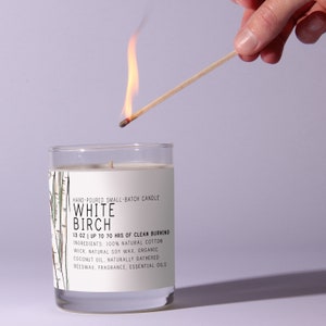 White Birch Just Bee Candles Soy Candle Scented Candles Scented Soy Candle Natural Candle image 2