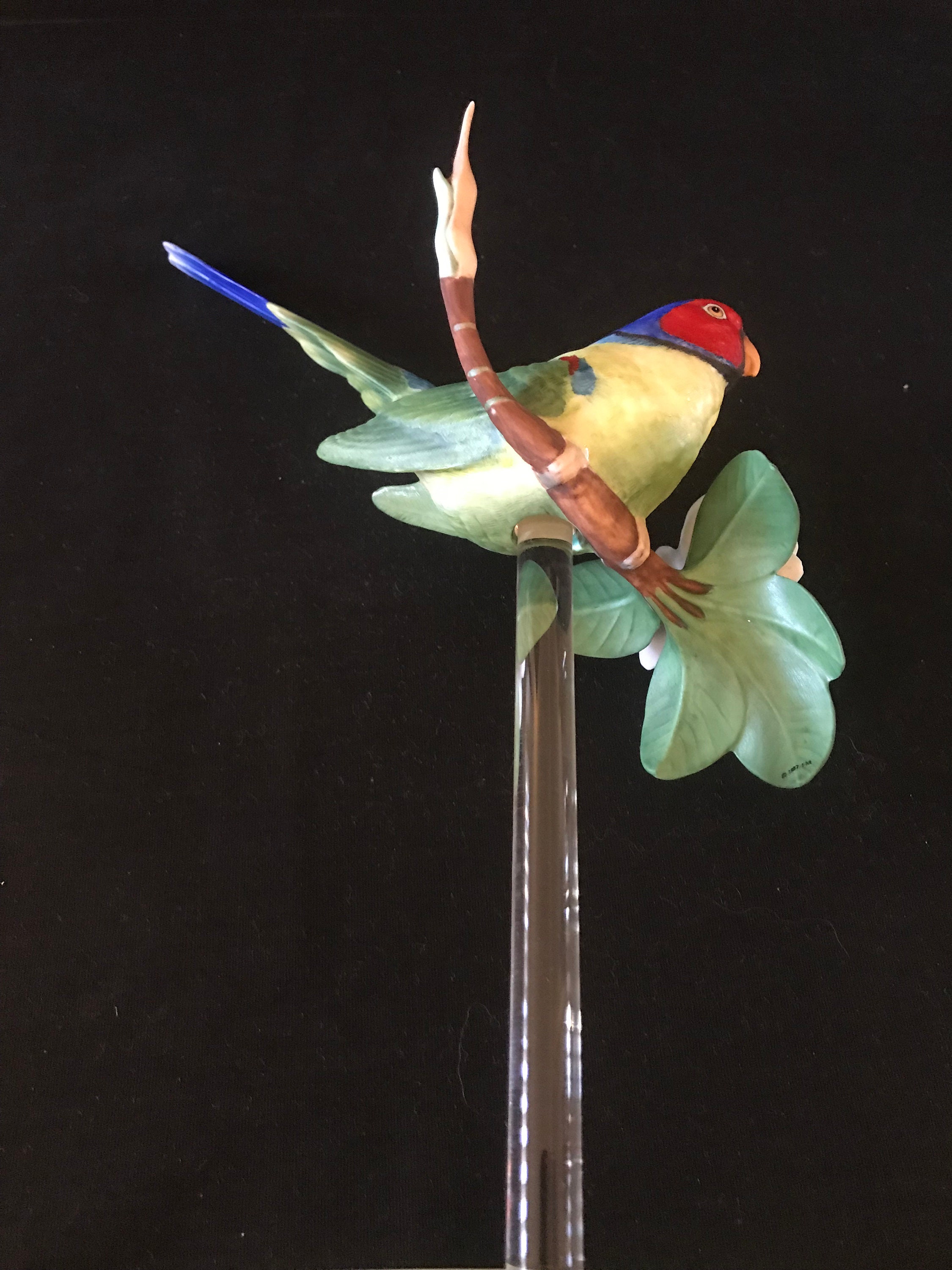 Vintage 1987 Franklin Mint Tropical Birds and Flowers (magnolia