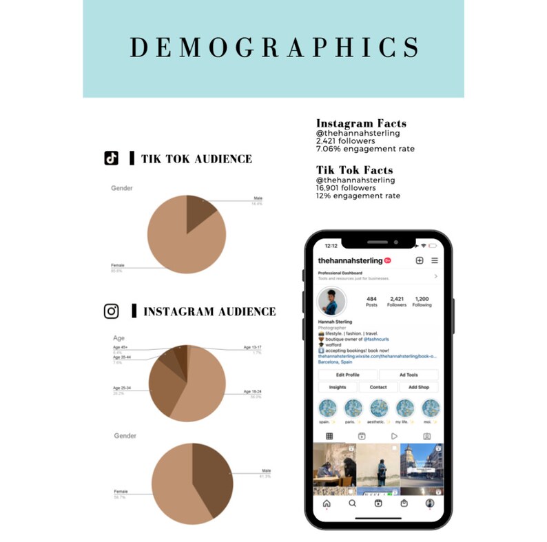 Editable Media Kit Template Brand Deal Media Kit Content Creator Resume