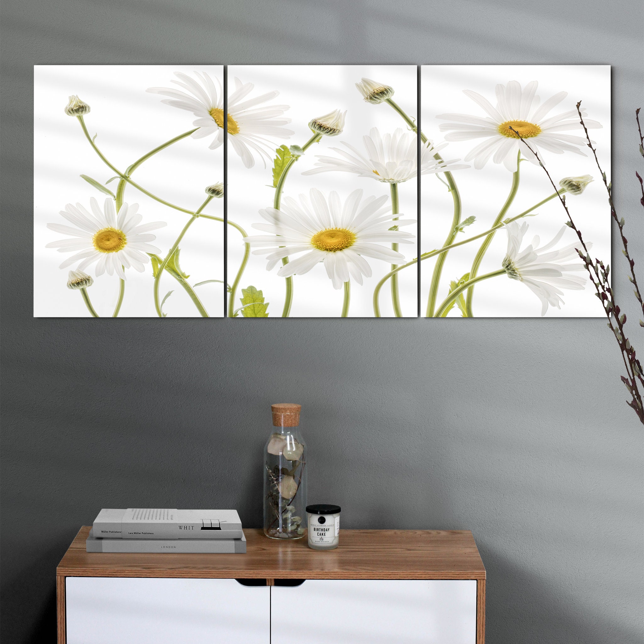 Oeil de Bœuf Marguerites Art Mural sur Toile - Fleurs Verrue Blanches