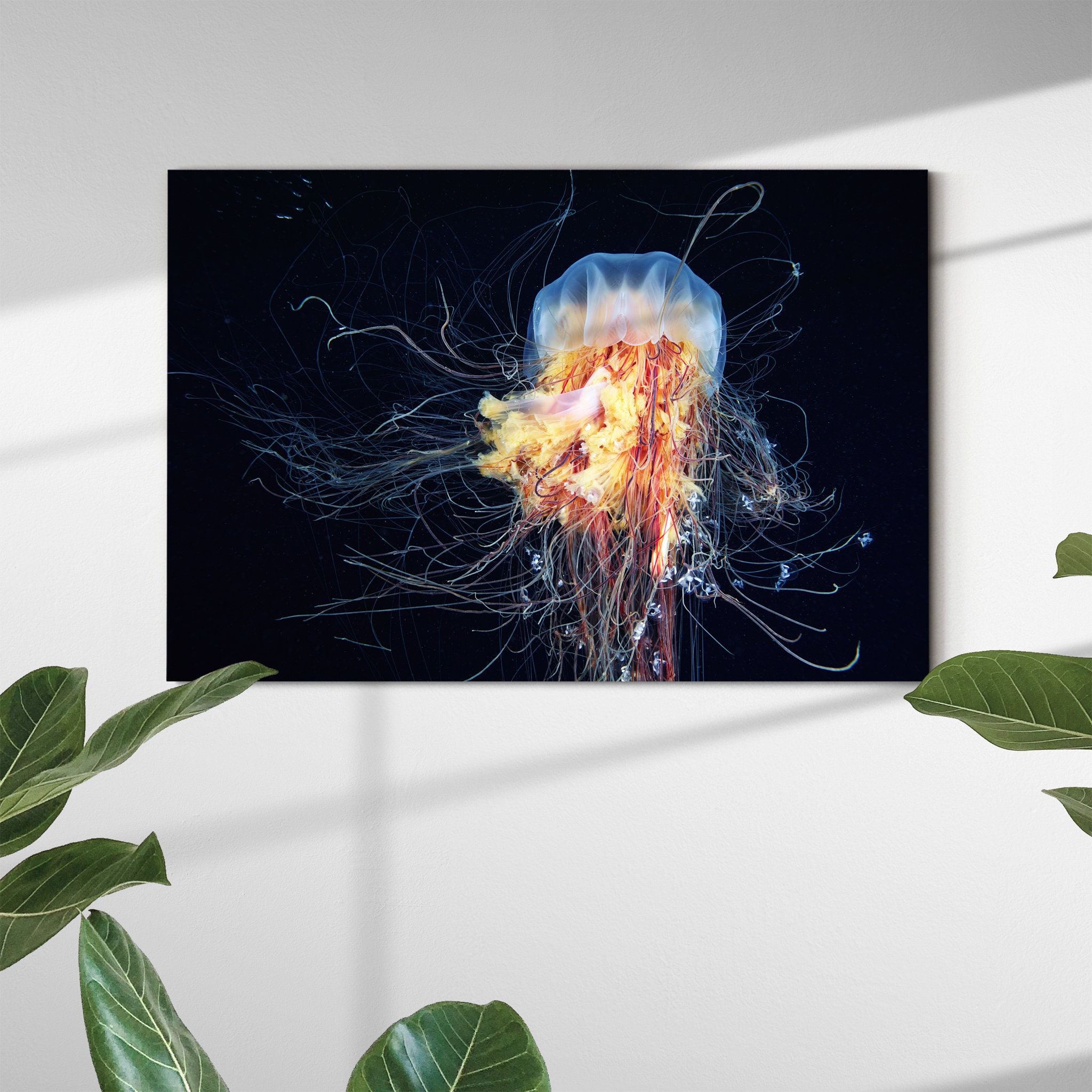 Giant Lion's Mane Canvas Art Mural - Moderne Décoration Murale Salon