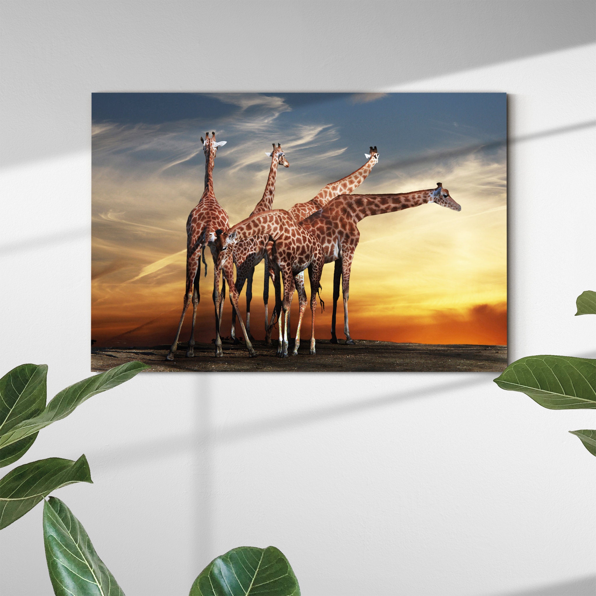 Girafes Rencontre Art Mural sur Toile - Animalier Impression Animale
