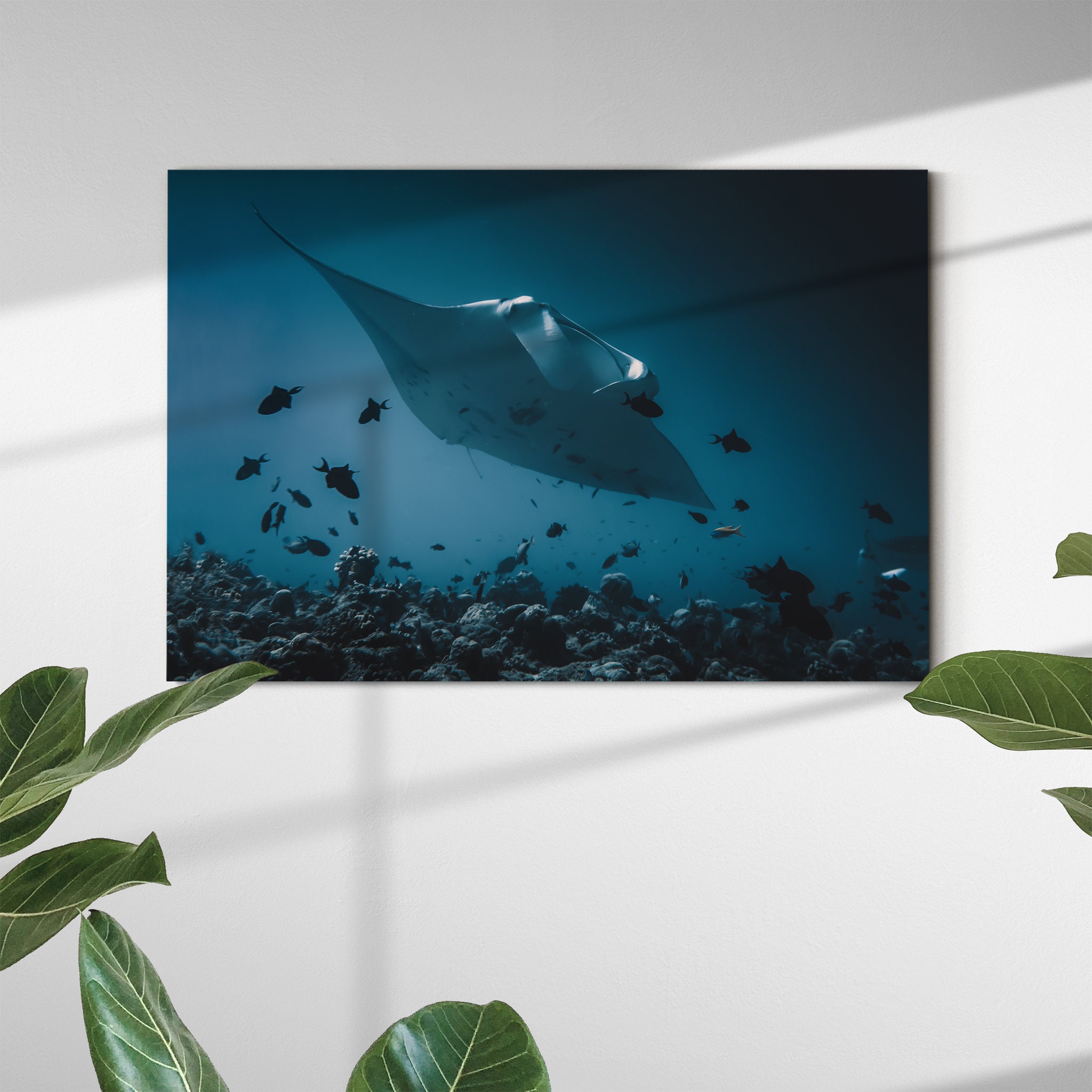 Mantas Flight Canvas Wall Art - Fish Sous-Marin