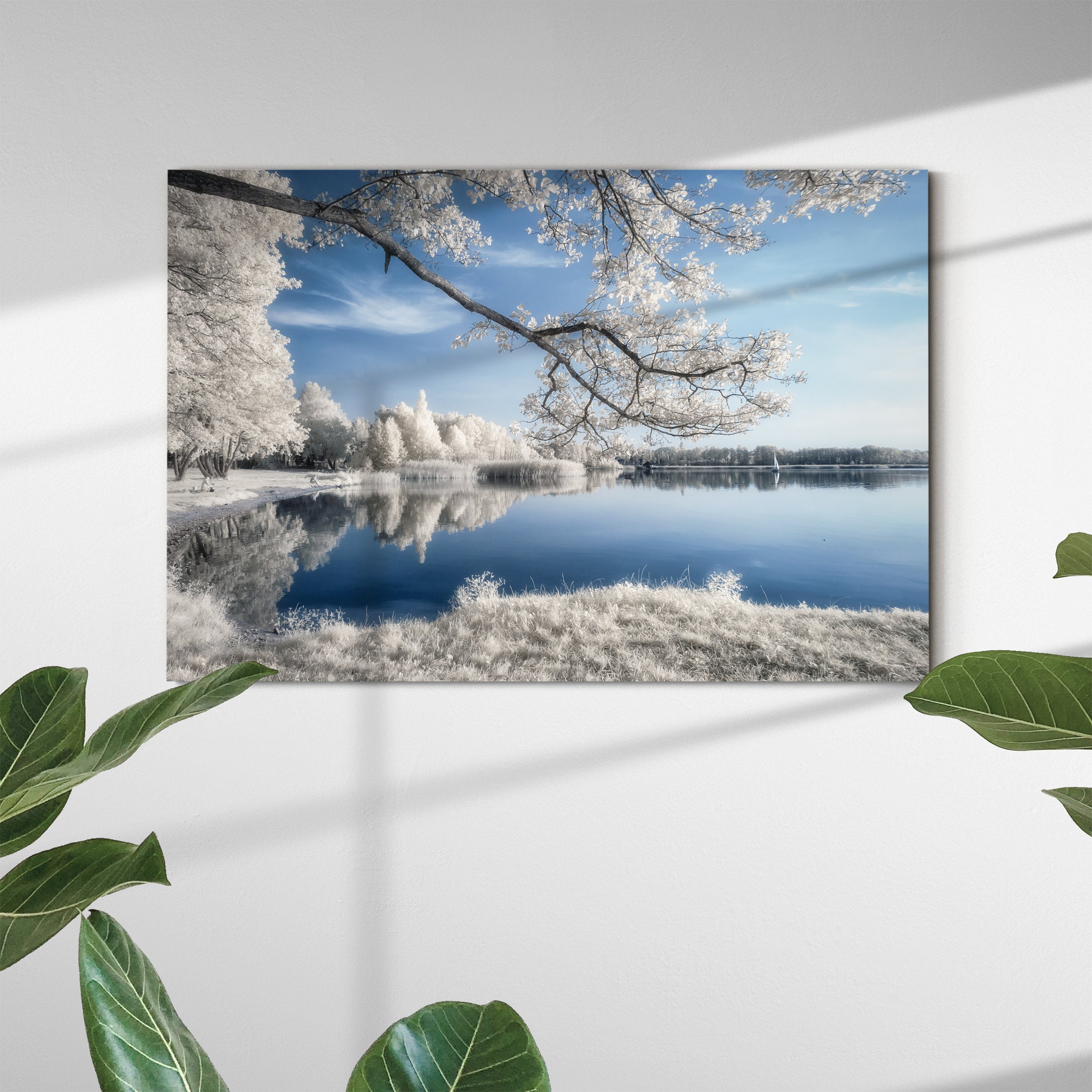 Irenkowo Canvas Art Mural - Fleur Blanc Blanc