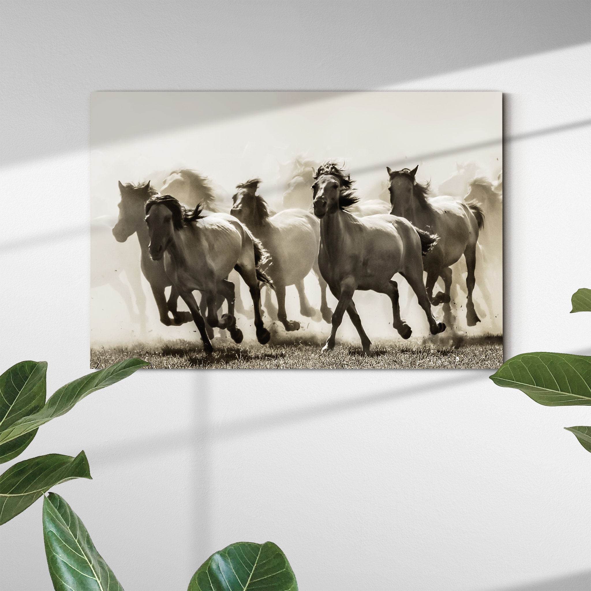 Highlander Canvas Art Mural - Impression Animale Ensembles d'art sur Toile