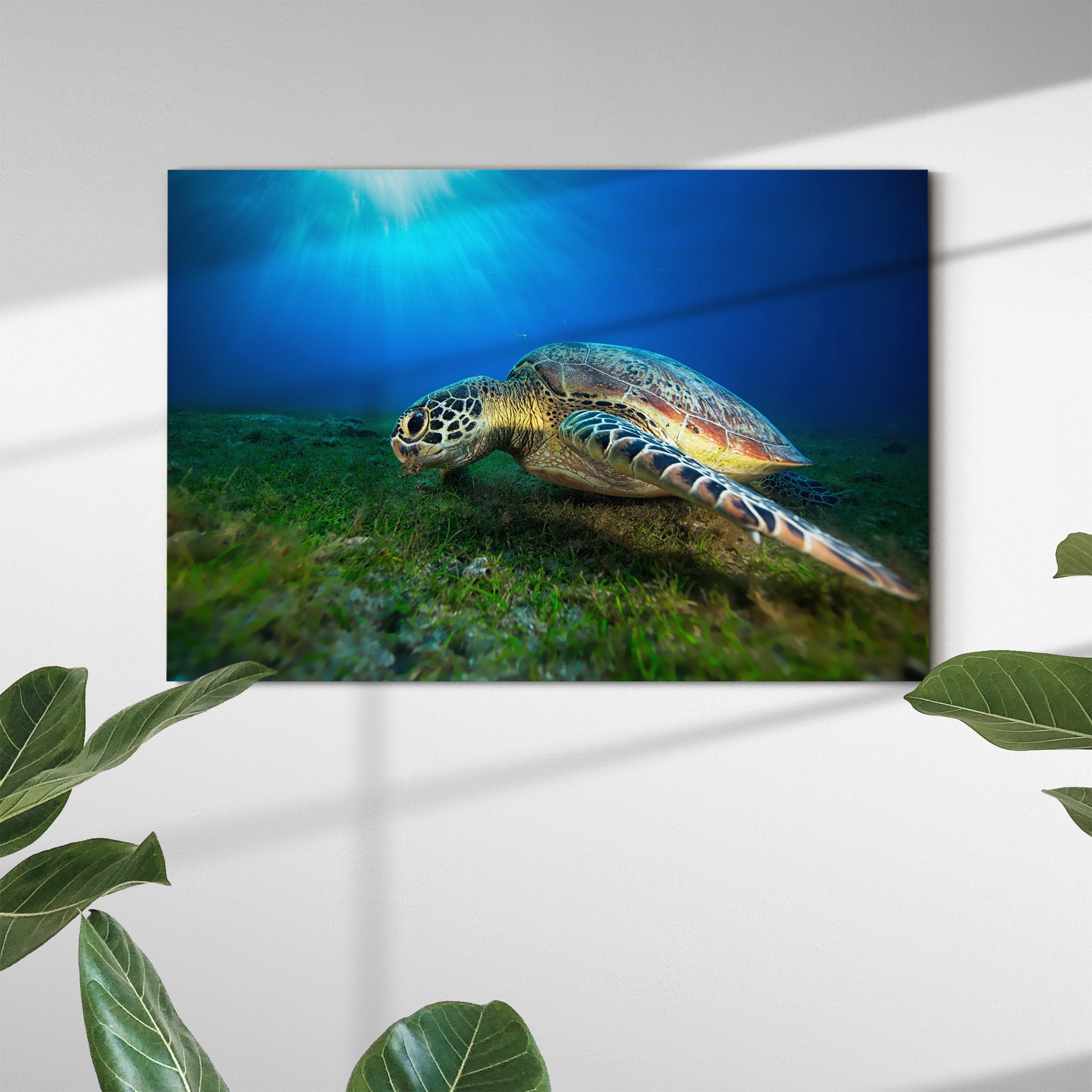 Tortue Verte Art Mural sur Toile - Photographie de Tortue Mer Art Sous-Marin