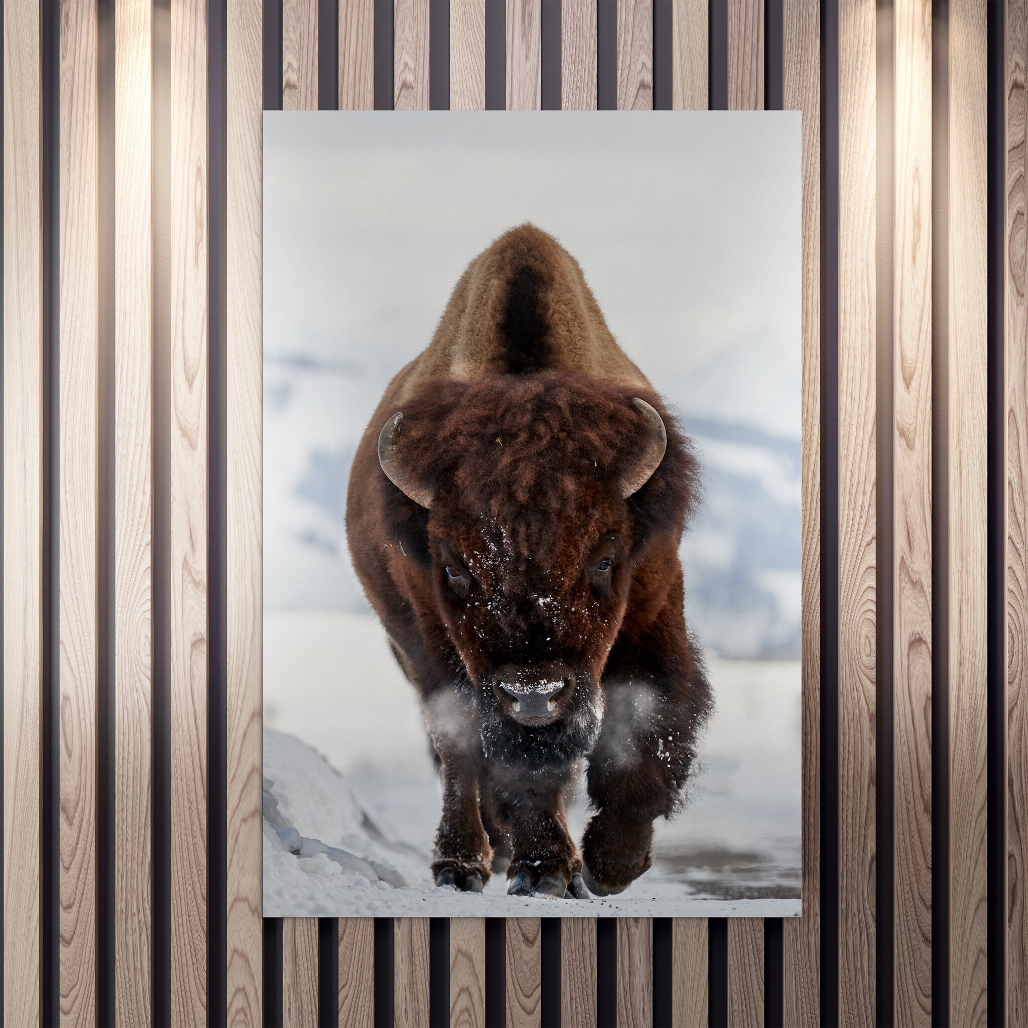 Bison Incoming Canvas Art Mural - Photographie de Bison Impression d'animaux