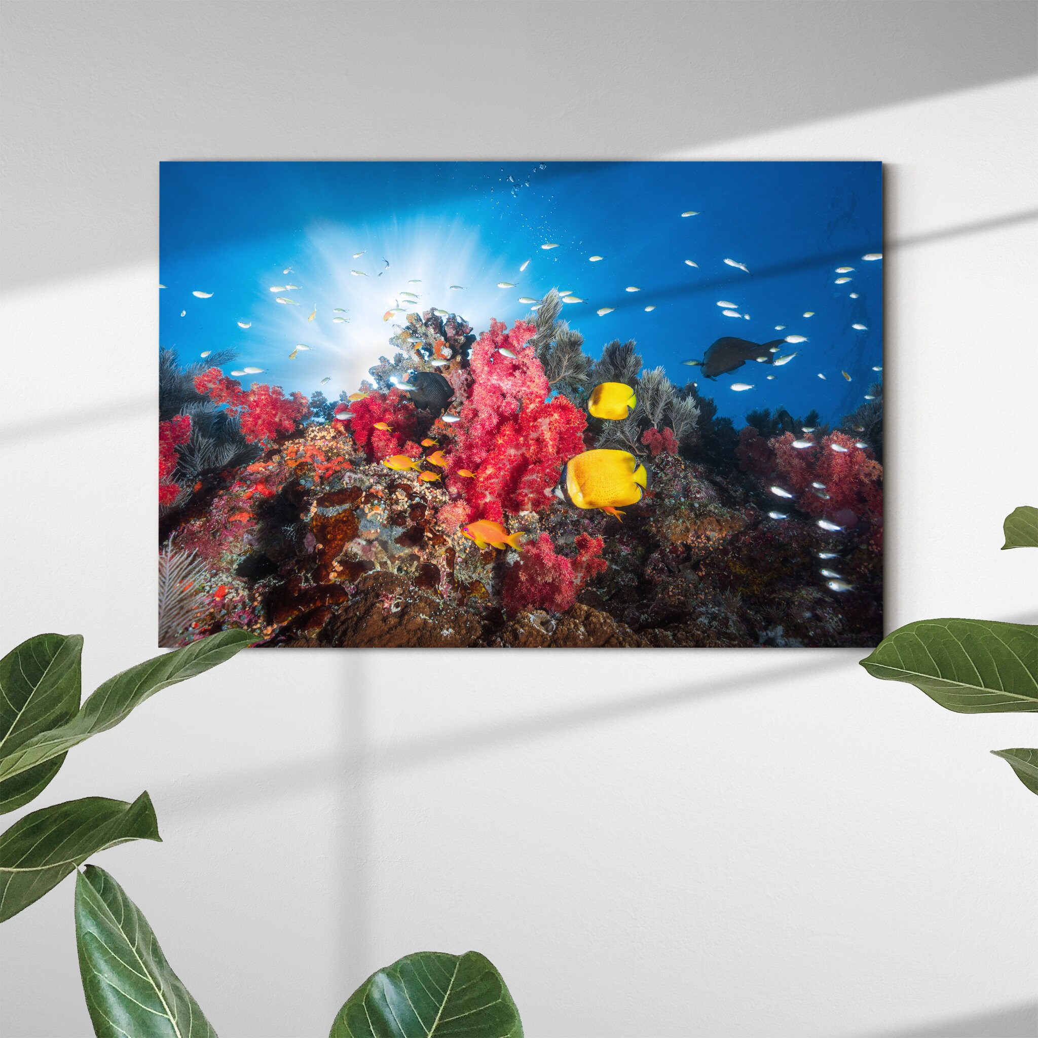 Metomorphosis Canvas Wall Art - Mural Abstrait Œuvre d'art sur Toile de Bouddha