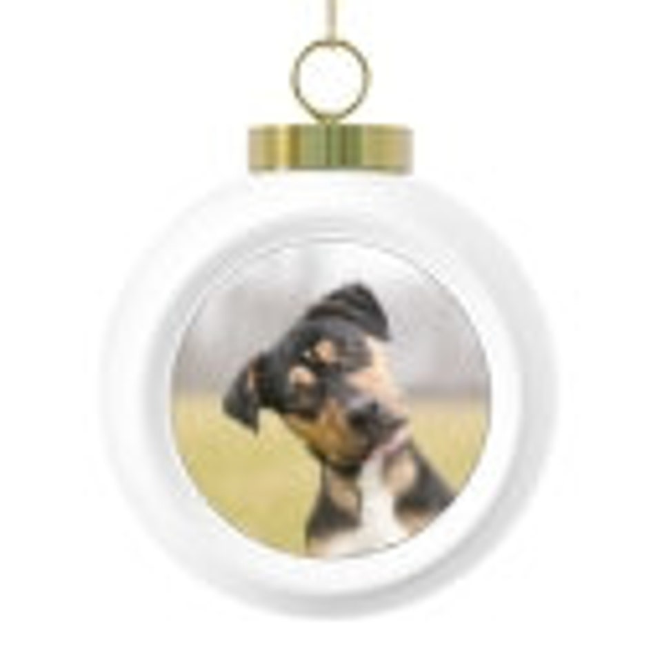 Custom Photo Christmas Ball Ornament