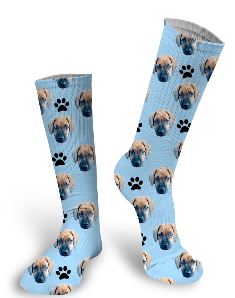 custom dog socks etsy