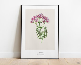Poster "Valerian" 50x70