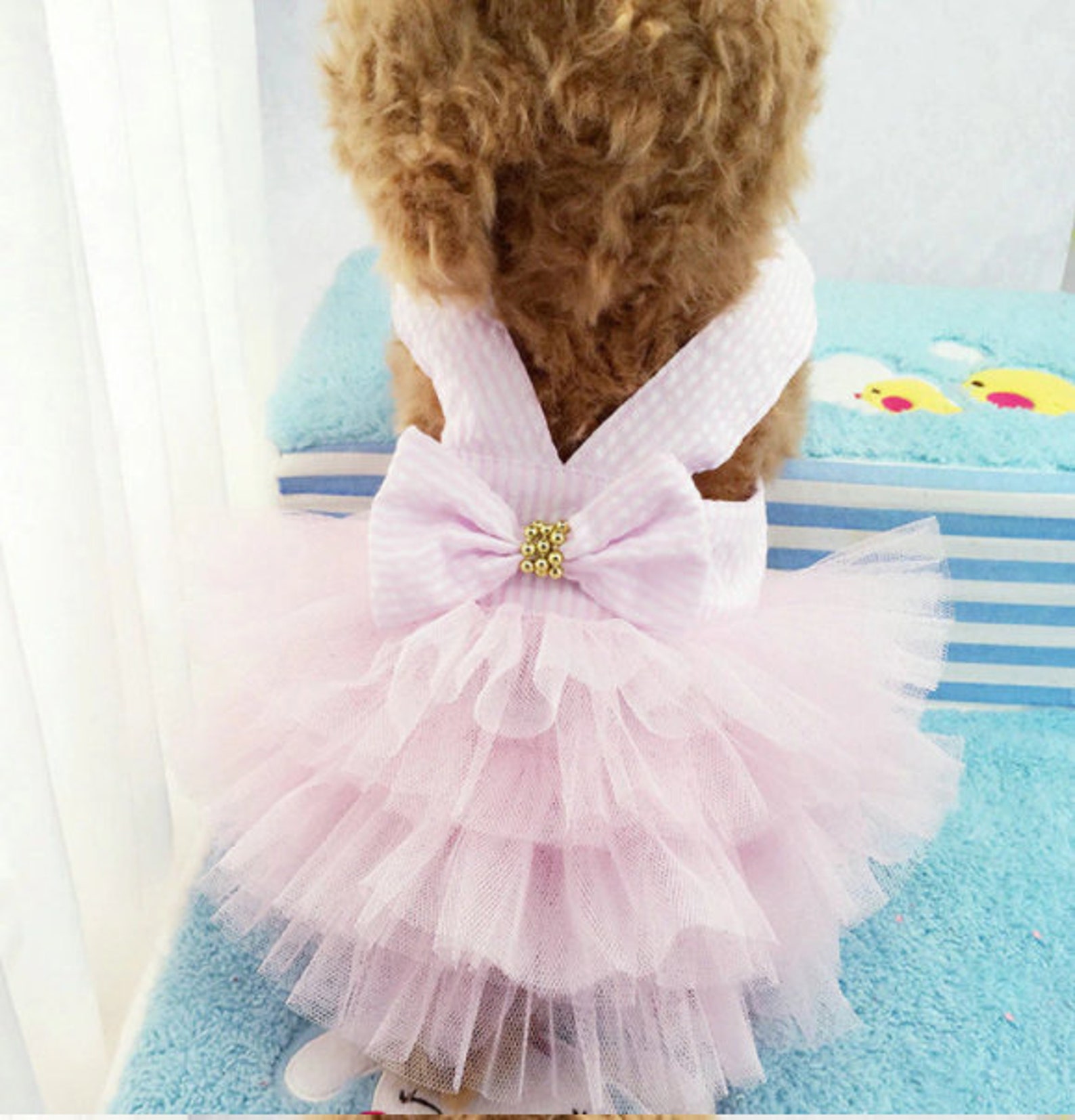 Wedding dog dress Dog Flower girl Dress Blush wedding Etsy