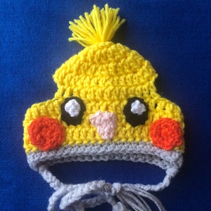 Crocheted Beanies For Dogs-Cockatiel Beanie Hat