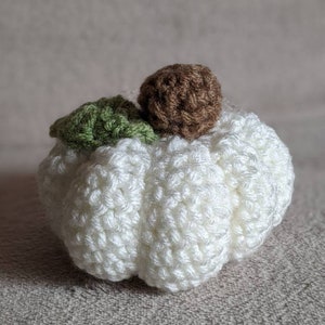 May include: A white crocheted pumpkin with a brown crocheted stem and a green crocheted leaf.