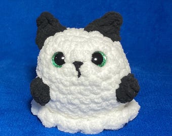 Black and white ghost kitty