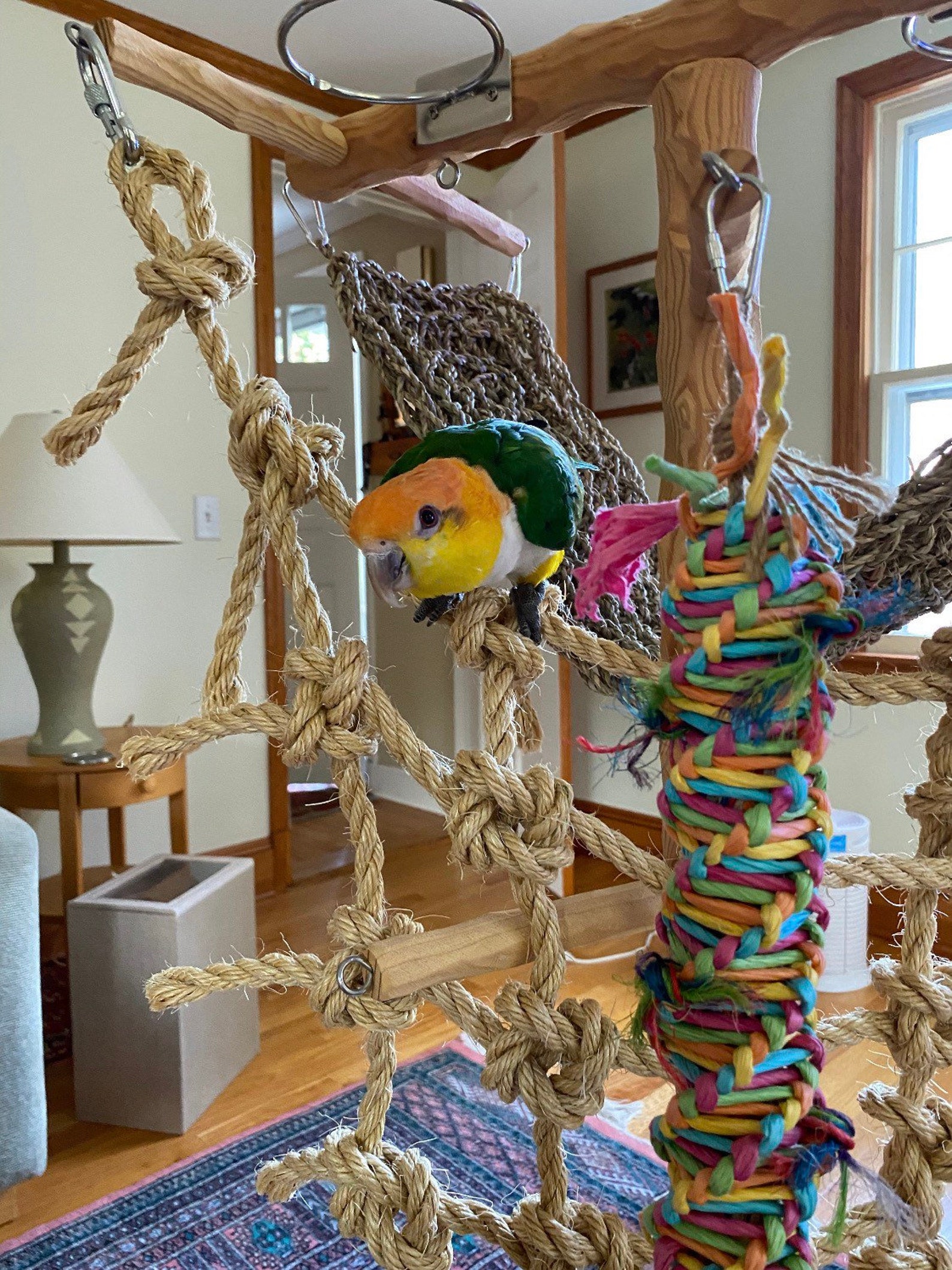 PARROT ROPE PERCH High quality natural bird rope climbing Etsy