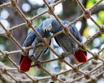 REDE DE ESCALADA PARA PAPAGAIOS - Rede de escalada de alta qualidade, feita com materiais naturais - Perfeita para seus papagaios-cinzentos, araras, cacatuas, papagaios-amazônicos e outras aves!