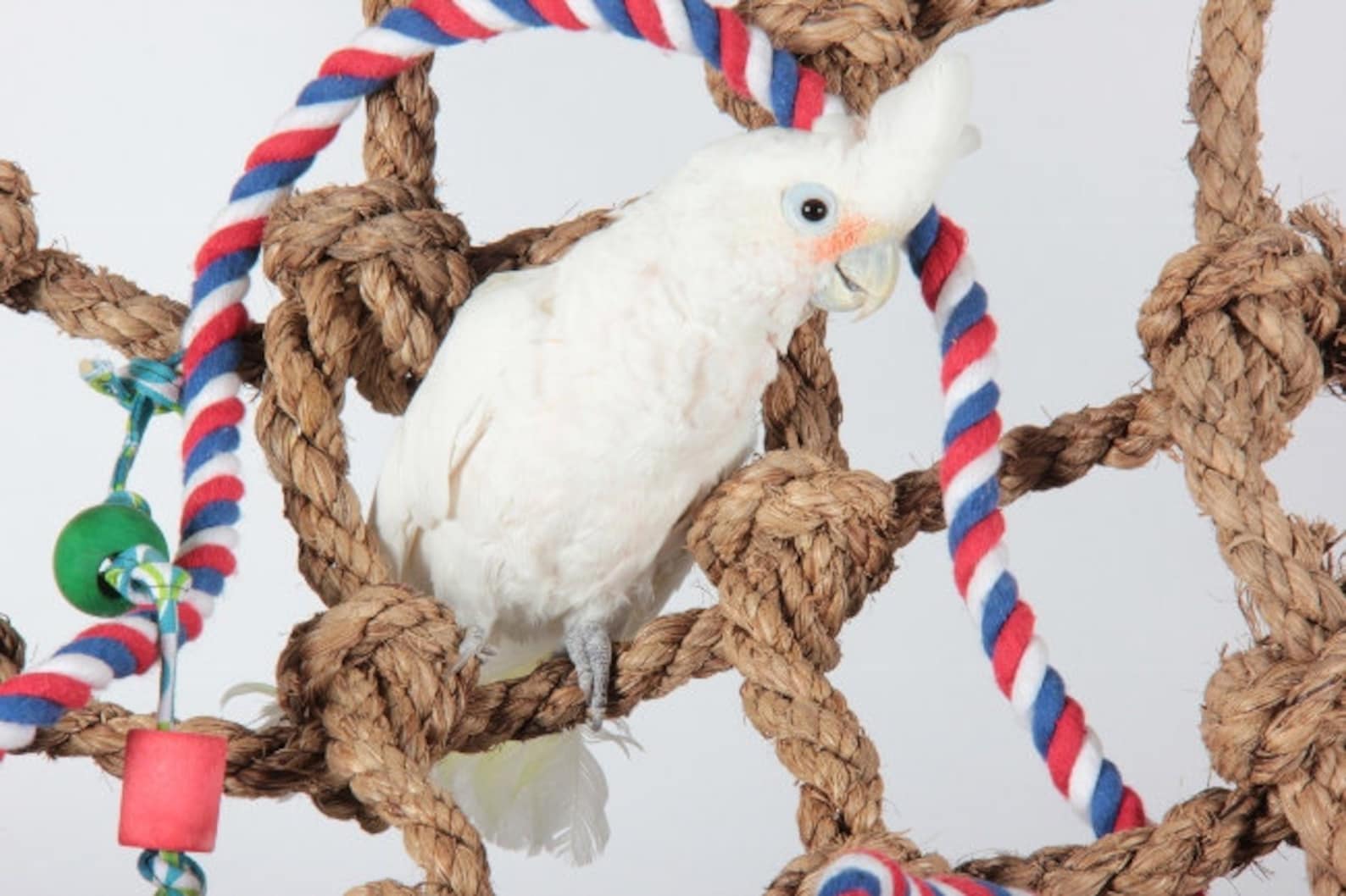 Parrot Net PARROT CLIMBING NET - High Quality Natural Bird Perch Climbing Ladder ...