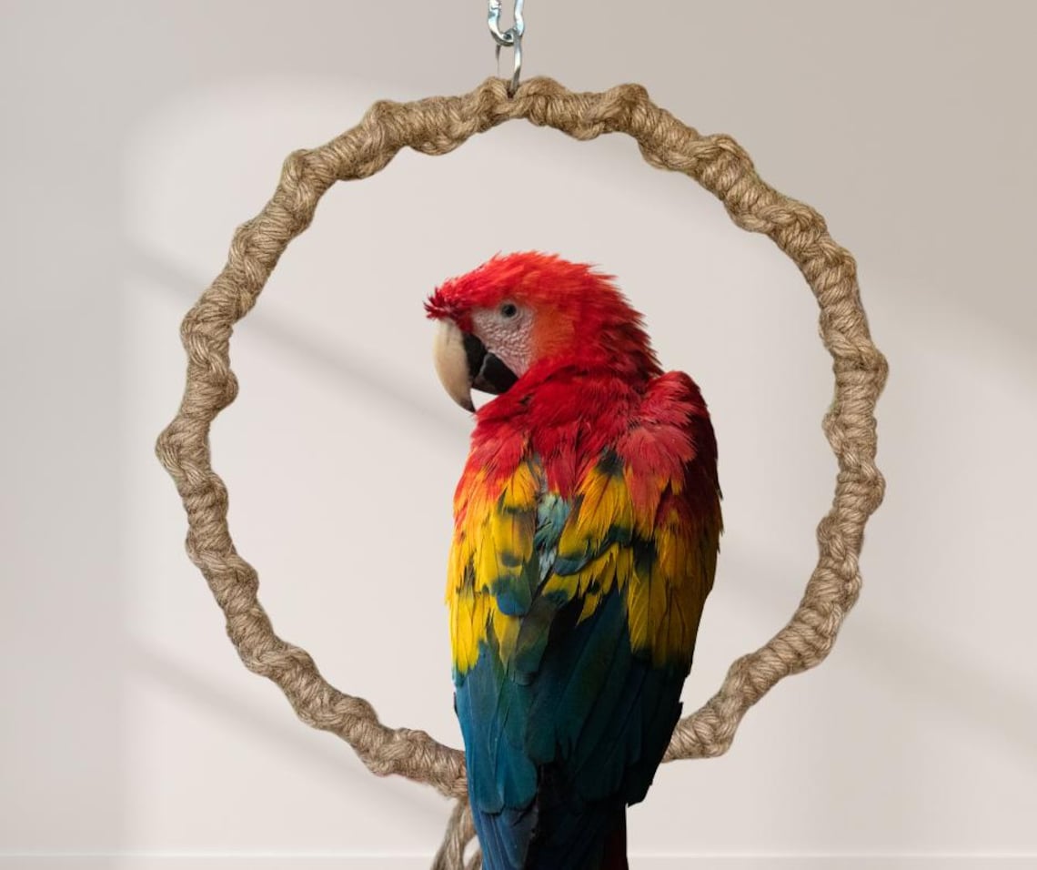 LARGE PARROT SWING | Durable Bird Rope Ring Play Perch | Ideal for ...