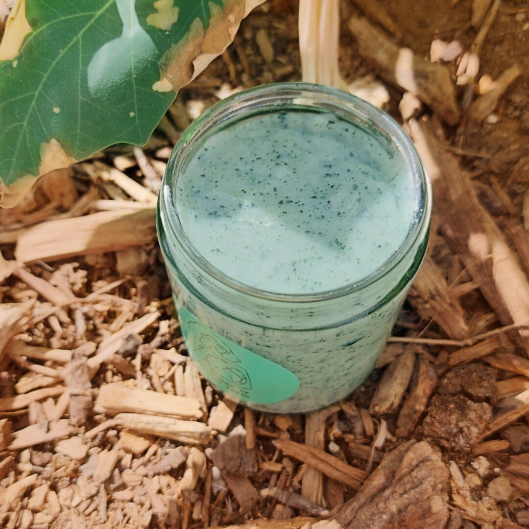 SPIRULINA HAIR MASK Etsy