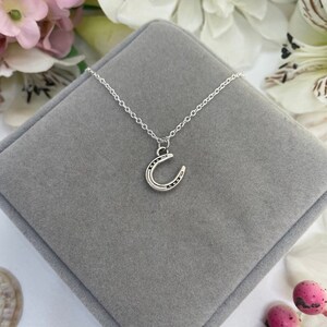 May include: A silver horseshoe pendant necklace on a silver chain. The necklace is displayed on a gray velvet box.